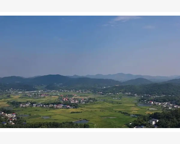 经期贫血头晕吃什么好？为女性调理疲惫之身，中医科普揭秘！